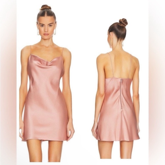 New! Alice + Olivia Harmony Mini‎ Slip Dress Rose Sz 2 $295 - Picture 1 of 12